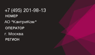 4952019813